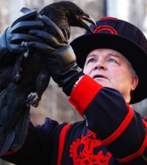 Beefeater - Tower of London